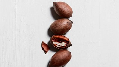 Finest Ingredients On Earth Article 5 Kérastase